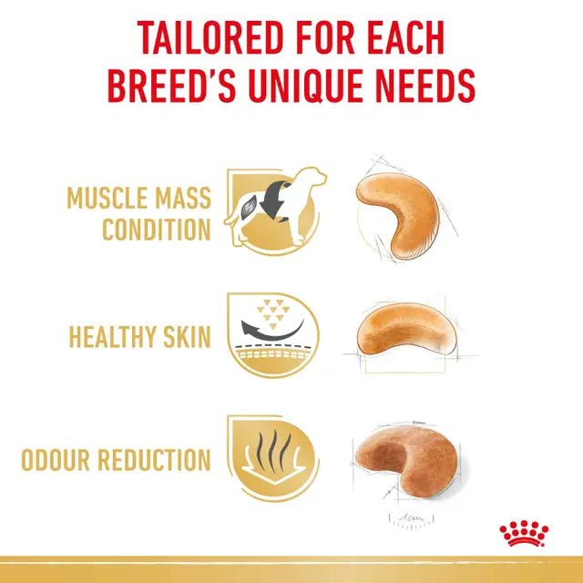 Royal Canin French Bulldog Adult Dry Dog Food - Pet Supply